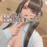 ヒメ日記 2025/07/11 15:35 投稿 あげは ナチュラルプリンセス