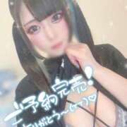 ヒメ日記 2025/07/27 10:25 投稿 あげは ナチュラルプリンセス