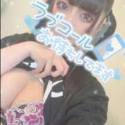 ヒメ日記 2025/08/02 10:15 投稿 あげは ナチュラルプリンセス