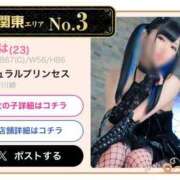 ヒメ日記 2025/08/07 12:25 投稿 あげは ナチュラルプリンセス