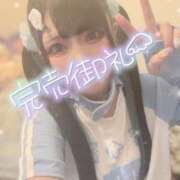 ヒメ日記 2025/08/11 10:14 投稿 あげは ナチュラルプリンセス