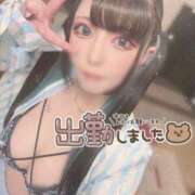 ヒメ日記 2025/08/20 13:35 投稿 あげは ナチュラルプリンセス