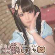 ヒメ日記 2025/09/07 14:35 投稿 あげは ナチュラルプリンセス