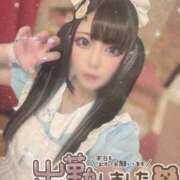 ヒメ日記 2025/10/01 14:43 投稿 あげは ナチュラルプリンセス