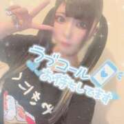 ヒメ日記 2025/10/05 10:25 投稿 あげは ナチュラルプリンセス