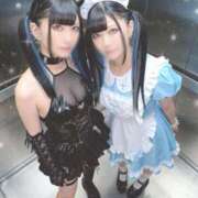 ヒメ日記 2025/10/07 12:17 投稿 あげは ナチュラルプリンセス