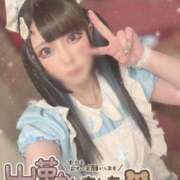 ヒメ日記 2025/10/12 14:24 投稿 あげは ナチュラルプリンセス