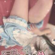 ヒメ日記 2025/10/13 22:15 投稿 あげは ナチュラルプリンセス