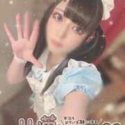 ヒメ日記 2025/10/14 14:35 投稿 あげは ナチュラルプリンセス