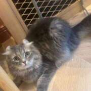 ヒメ日記 2025/10/16 20:45 投稿 あげは ナチュラルプリンセス