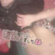 ヒメ日記 2025/10/18 22:55 投稿 あげは ナチュラルプリンセス