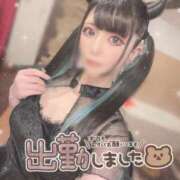 ヒメ日記 2025/10/25 14:30 投稿 あげは ナチュラルプリンセス