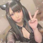 ヒメ日記 2025/10/28 14:25 投稿 あげは ナチュラルプリンセス