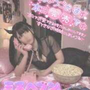 ヒメ日記 2025/11/01 10:15 投稿 あげは ナチュラルプリンセス