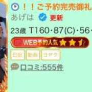 ヒメ日記 2025/11/03 10:05 投稿 あげは ナチュラルプリンセス