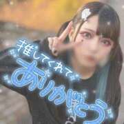 ヒメ日記 2025/11/04 00:28 投稿 あげは ナチュラルプリンセス