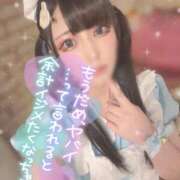 ヒメ日記 2025/11/04 10:15 投稿 あげは ナチュラルプリンセス