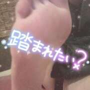 ヒメ日記 2025/11/10 20:05 投稿 あげは ナチュラルプリンセス