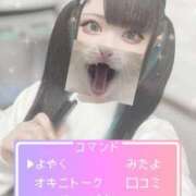 ヒメ日記 2025/11/13 14:15 投稿 あげは ナチュラルプリンセス