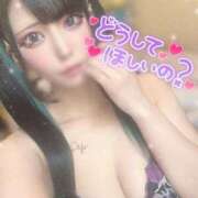 ヒメ日記 2025/11/15 10:25 投稿 あげは ナチュラルプリンセス