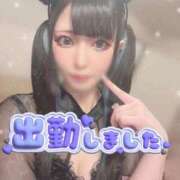 ヒメ日記 2025/11/15 14:25 投稿 あげは ナチュラルプリンセス