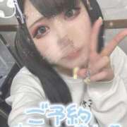 ヒメ日記 2025/11/17 10:25 投稿 あげは ナチュラルプリンセス