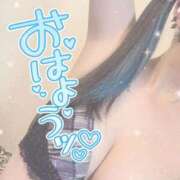 ヒメ日記 2025/11/19 07:45 投稿 あげは ナチュラルプリンセス