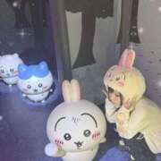 ヒメ日記 2025/11/25 17:15 投稿 あげは ナチュラルプリンセス