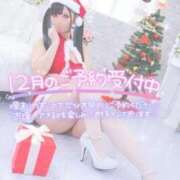 ヒメ日記 2025/11/28 11:15 投稿 あげは ナチュラルプリンセス