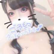 ヒメ日記 2025/12/02 10:47 投稿 あげは ナチュラルプリンセス