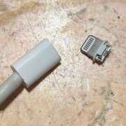 ヒメ日記 2025/12/09 16:15 投稿 あげは ナチュラルプリンセス