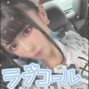 ヒメ日記 2026/01/23 08:45 投稿 あげは ナチュラルプリンセス