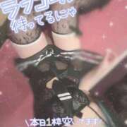 ヒメ日記 2026/01/28 10:25 投稿 あげは ナチュラルプリンセス