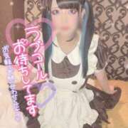 ヒメ日記 2026/02/04 10:27 投稿 あげは ナチュラルプリンセス