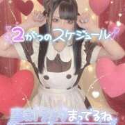 ヒメ日記 2026/02/04 11:05 投稿 あげは ナチュラルプリンセス