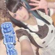 ヒメ日記 2026/02/04 14:35 投稿 あげは ナチュラルプリンセス