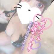 ヒメ日記 2026/02/06 08:35 投稿 あげは ナチュラルプリンセス