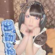 ヒメ日記 2026/02/06 14:15 投稿 あげは ナチュラルプリンセス