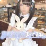 ヒメ日記 2026/02/11 06:35 投稿 あげは ナチュラルプリンセス