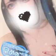 ヒメ日記 2026/02/12 07:40 投稿 あげは ナチュラルプリンセス