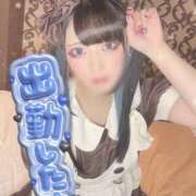 ヒメ日記 2026/02/15 14:18 投稿 あげは ナチュラルプリンセス