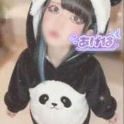 ヒメ日記 2026/02/17 10:25 投稿 あげは ナチュラルプリンセス