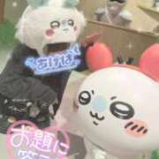 ヒメ日記 2026/02/19 16:15 投稿 あげは ナチュラルプリンセス