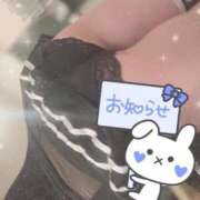 ヒメ日記 2026/02/20 12:10 投稿 あげは ナチュラルプリンセス