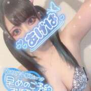 ヒメ日記 2026/02/20 22:05 投稿 あげは ナチュラルプリンセス