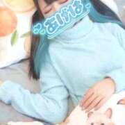 ヒメ日記 2026/02/21 02:25 投稿 あげは ナチュラルプリンセス