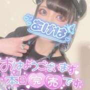 ヒメ日記 2026/02/21 08:08 投稿 あげは ナチュラルプリンセス