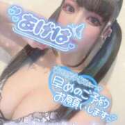 ヒメ日記 2026/02/21 10:08 投稿 あげは ナチュラルプリンセス