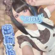 ヒメ日記 2026/02/22 18:05 投稿 あげは ナチュラルプリンセス