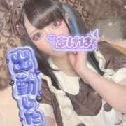 ヒメ日記 2026/02/23 14:25 投稿 あげは ナチュラルプリンセス